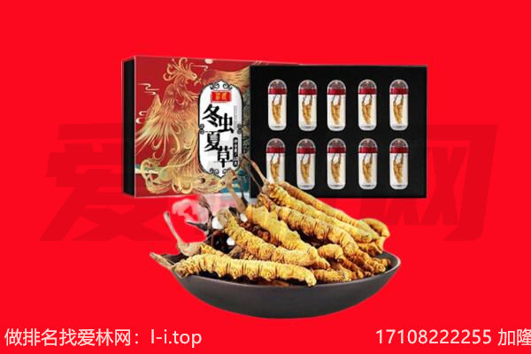 达州回收虫草.jpg